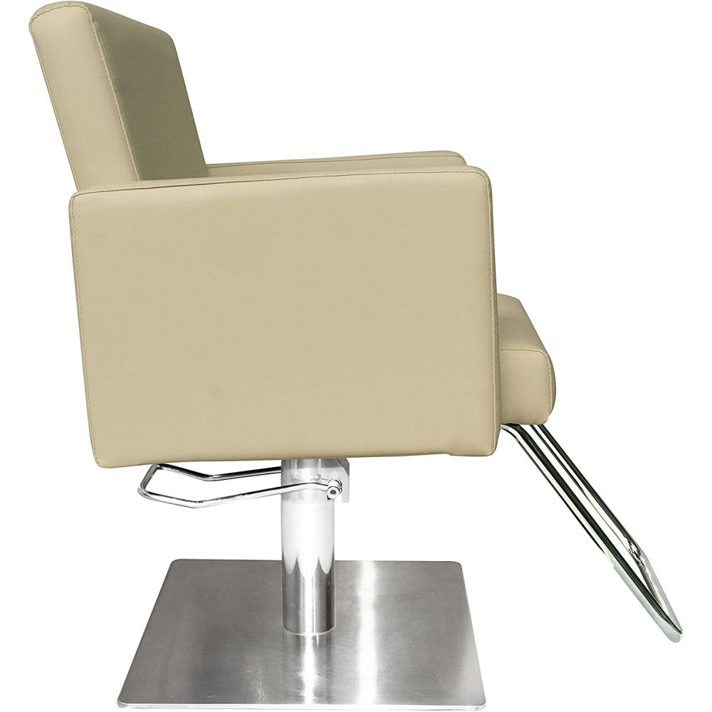 Professional Styling Hydraulic Salon Chair